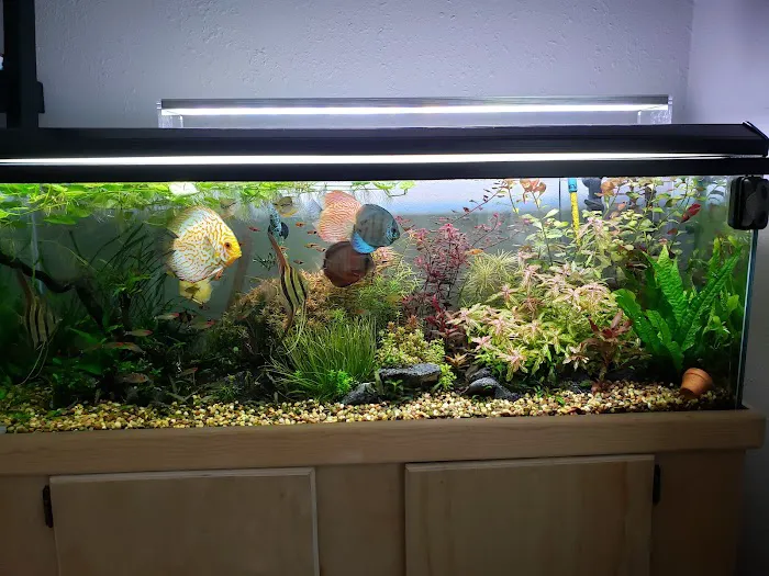 Nature Aquarium Picture 6