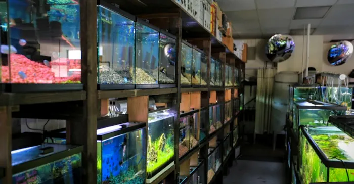 Nature Aquarium Picture 9
