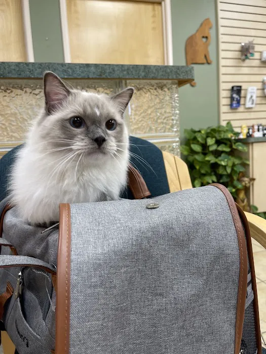 Larkspur Cat Clinic Picture 1