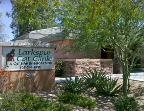 Larkspur Cat Clinic Picture 10