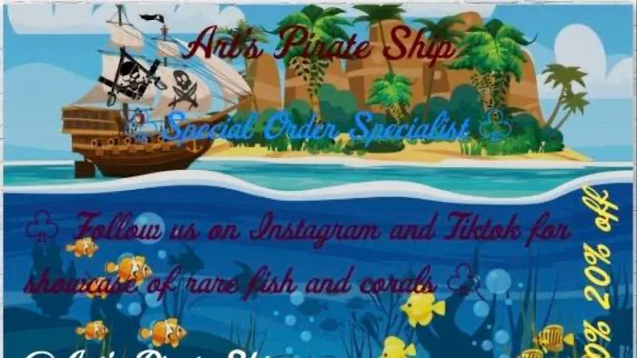 ART'S PIRATE SHIP Picture 6