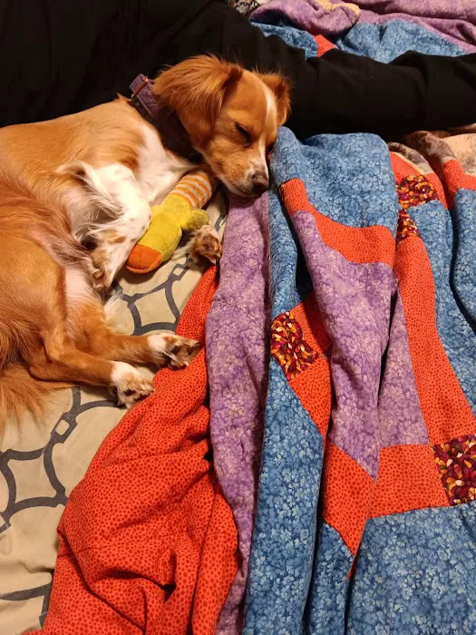 Petco Picture 4