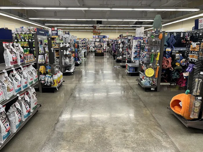 Petco Picture 8