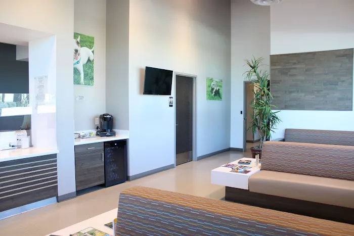 Arizona Veterinary Dental Specialists - Peoria Picture 3
