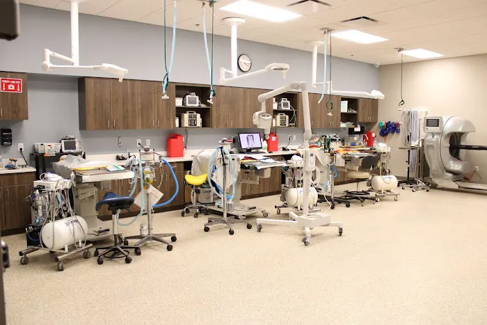 Arizona Veterinary Dental Specialists - Peoria Picture 4