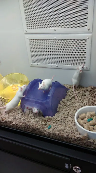 Petco Picture 2