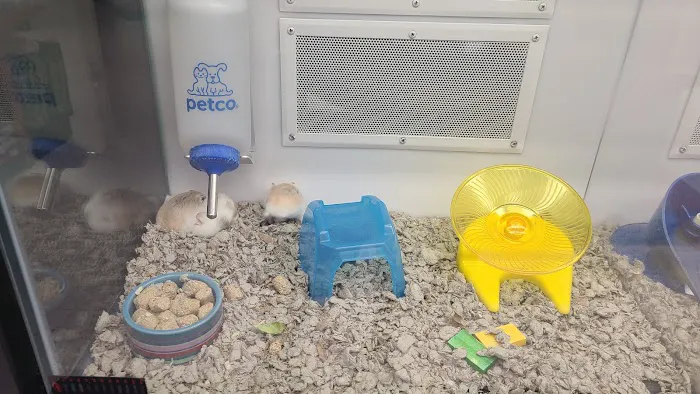Petco Picture 1