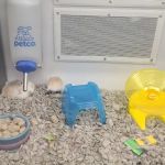 Petco