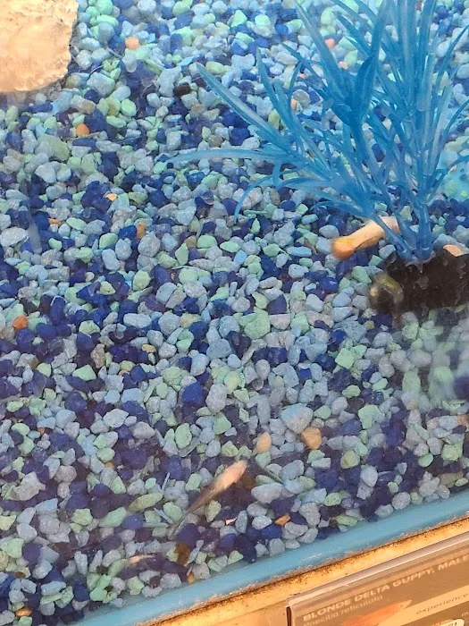 Petco Picture 9