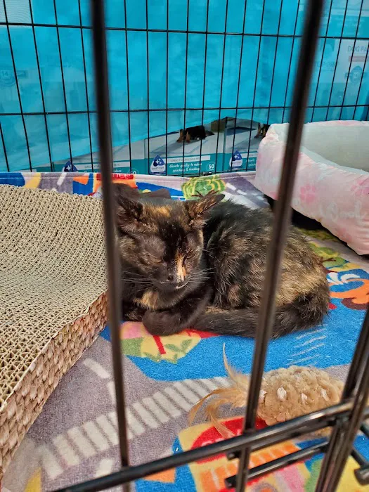 Petco Picture 8
