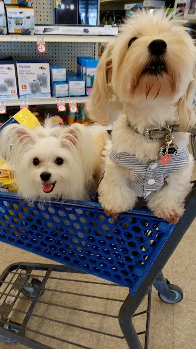 Petco Picture 7