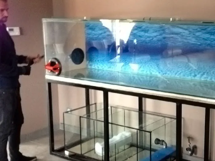 Aquatech Aquarium Service Picture 3