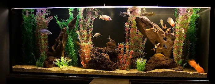 Aquatech Aquarium Service Picture 2