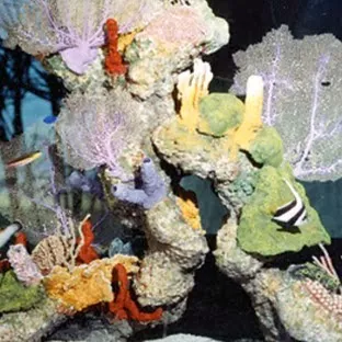 Aquatech Aquarium Service Picture 5