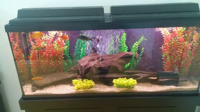 Aquatech Aquarium Service Picture 4