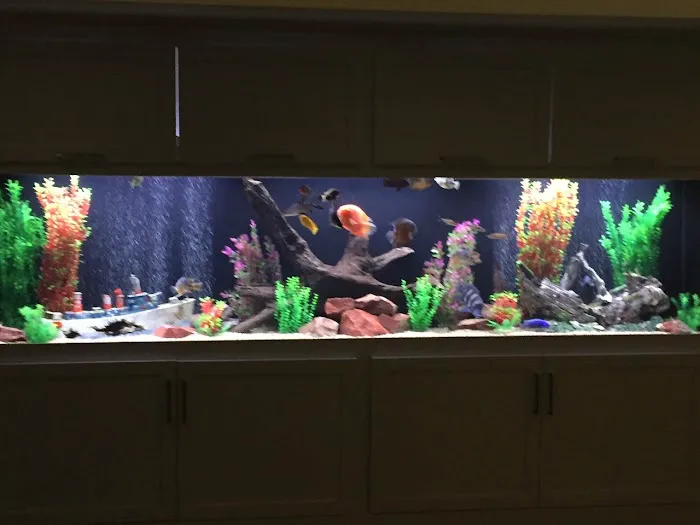 Aquatech Aquarium Service Picture 8