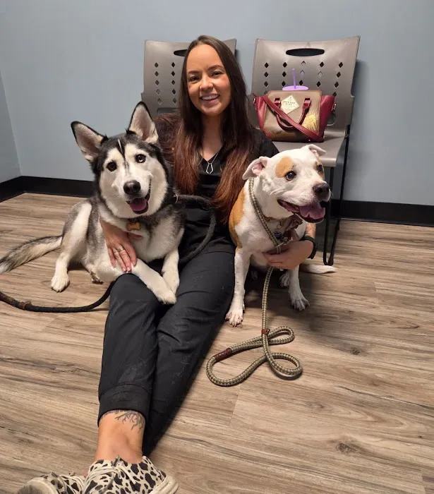 Arizona Animal Dentistry Picture 1