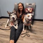 Arizona Animal Dentistry
