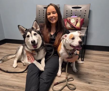 Arizona Animal Dentistry