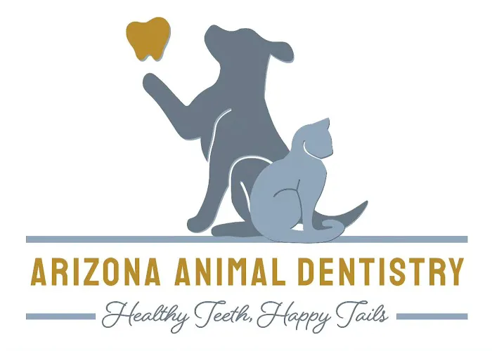 Arizona Animal Dentistry Picture 2
