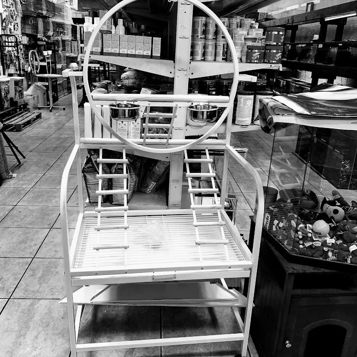 Damasco pet shop Picture 9