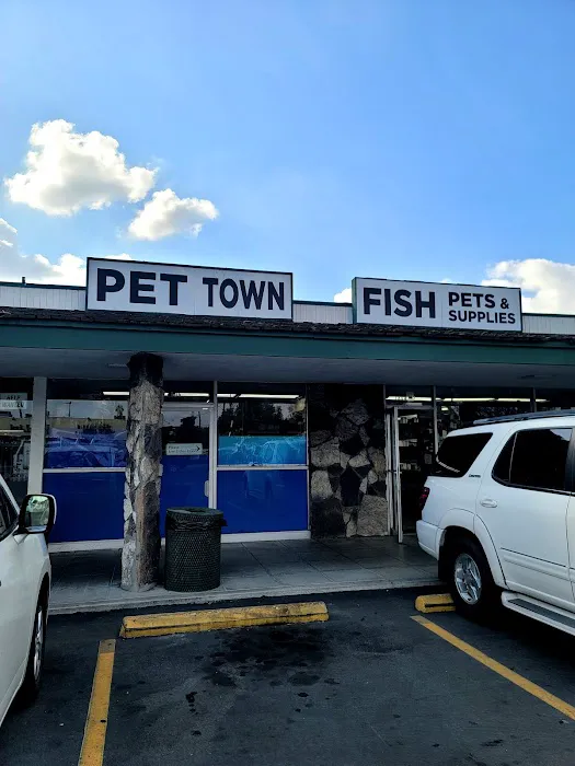 Pet Town Picture 2