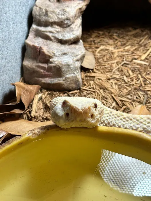 Tree of Life Exotic Pet Medical Center Picture 2