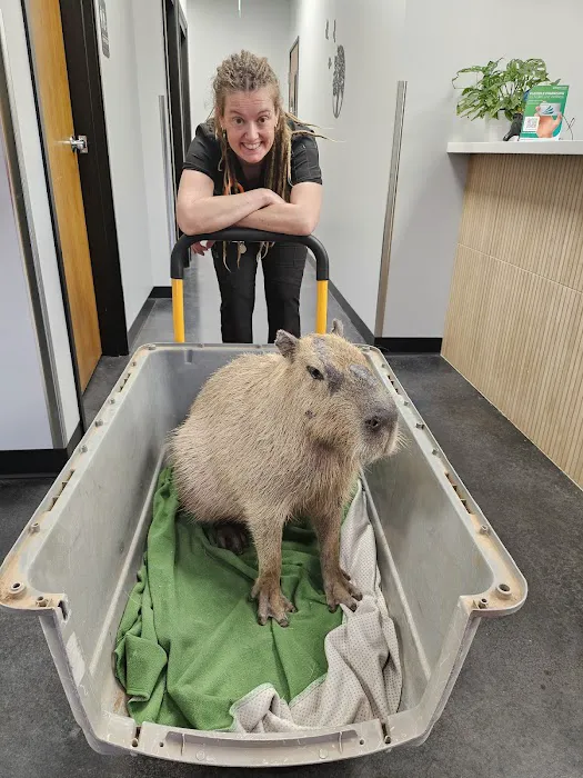 Tree of Life Exotic Pet Medical Center Picture 7