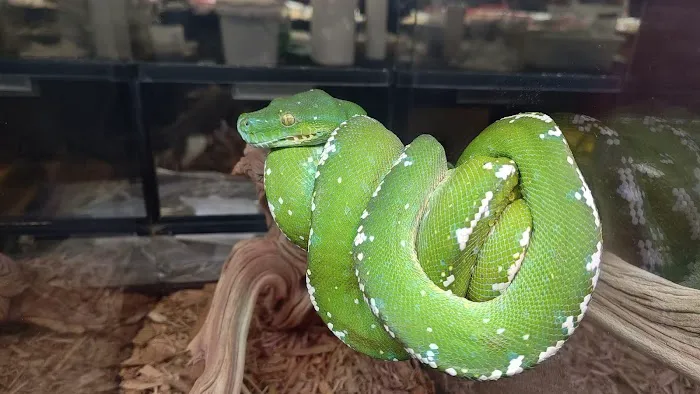 Tree of Life Exotic Pet Medical Center Picture 6