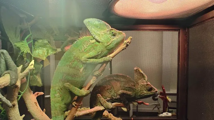 Tree of Life Exotic Pet Medical Center Picture 5