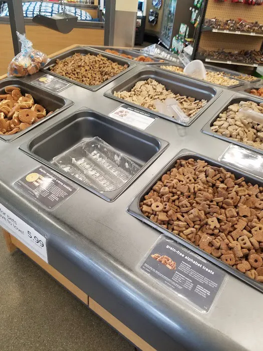 Petco Picture 1