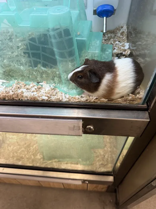 Petco Picture 6