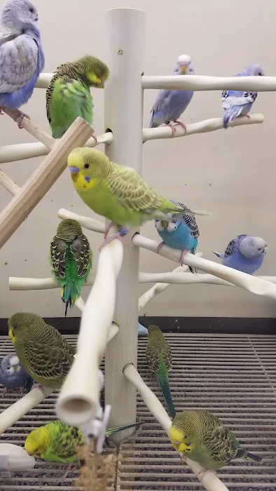 Petco Picture 10
