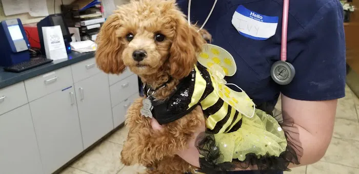 Foothills Animal Hospital Picture 4