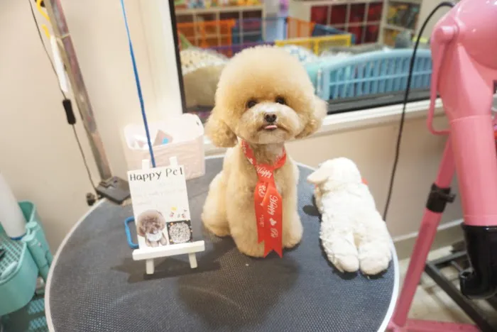 Happy Pet Picture 8