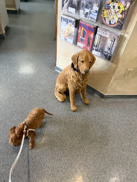 Ahwatukee Animal Care Hospital Picture 1