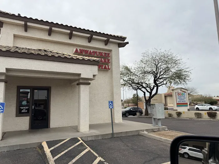 Ahwatukee Animal Care Hospital Picture 4