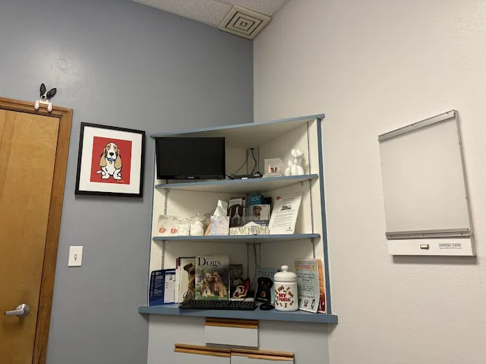 Ahwatukee Animal Care Hospital Picture 3