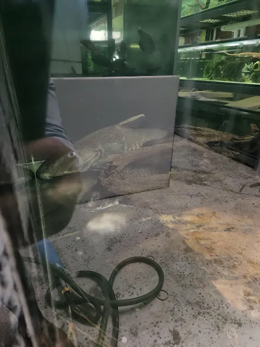 Van Star Aquarium Picture 2