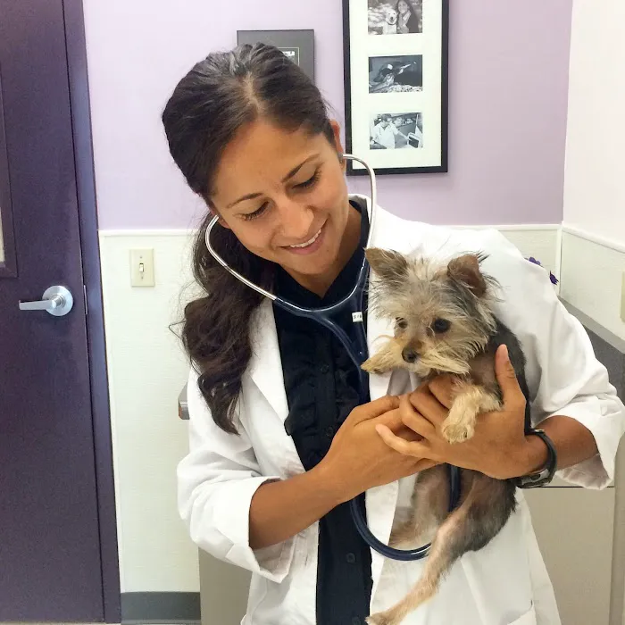 Family VetCare of Phoenix Picture 7