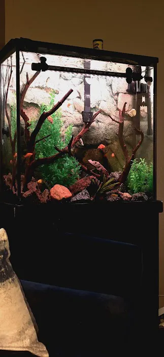 CK Aquarium Picture 3