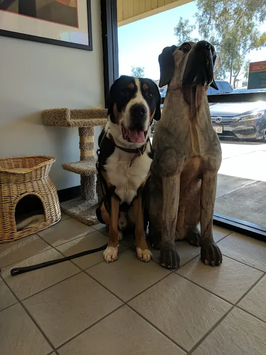 South Point Animal Clinic Picture 1