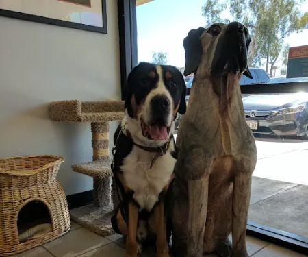 South Point Animal Clinic