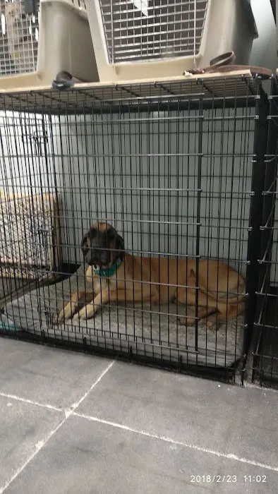 South Point Animal Clinic Picture 6