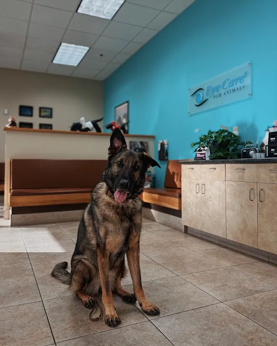 Eye Care for Animals - Avondale Picture 1