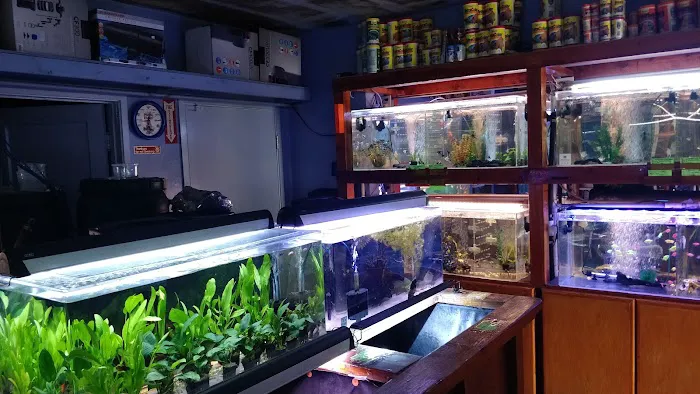 Rosemead Aquarium Picture 5