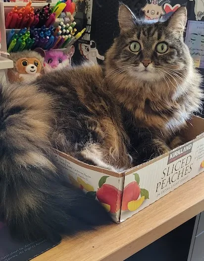 BluePearl Pet Hospital Picture 2
