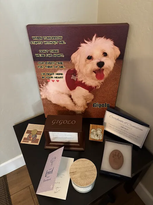 BluePearl Pet Hospital Picture 3