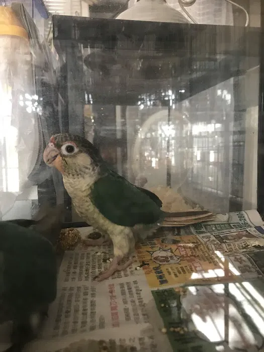 King Pet Shop Picture 4