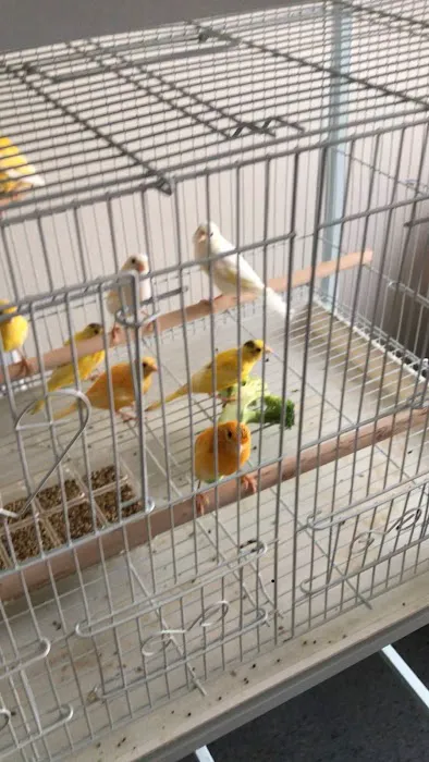 King Pet Shop Picture 6